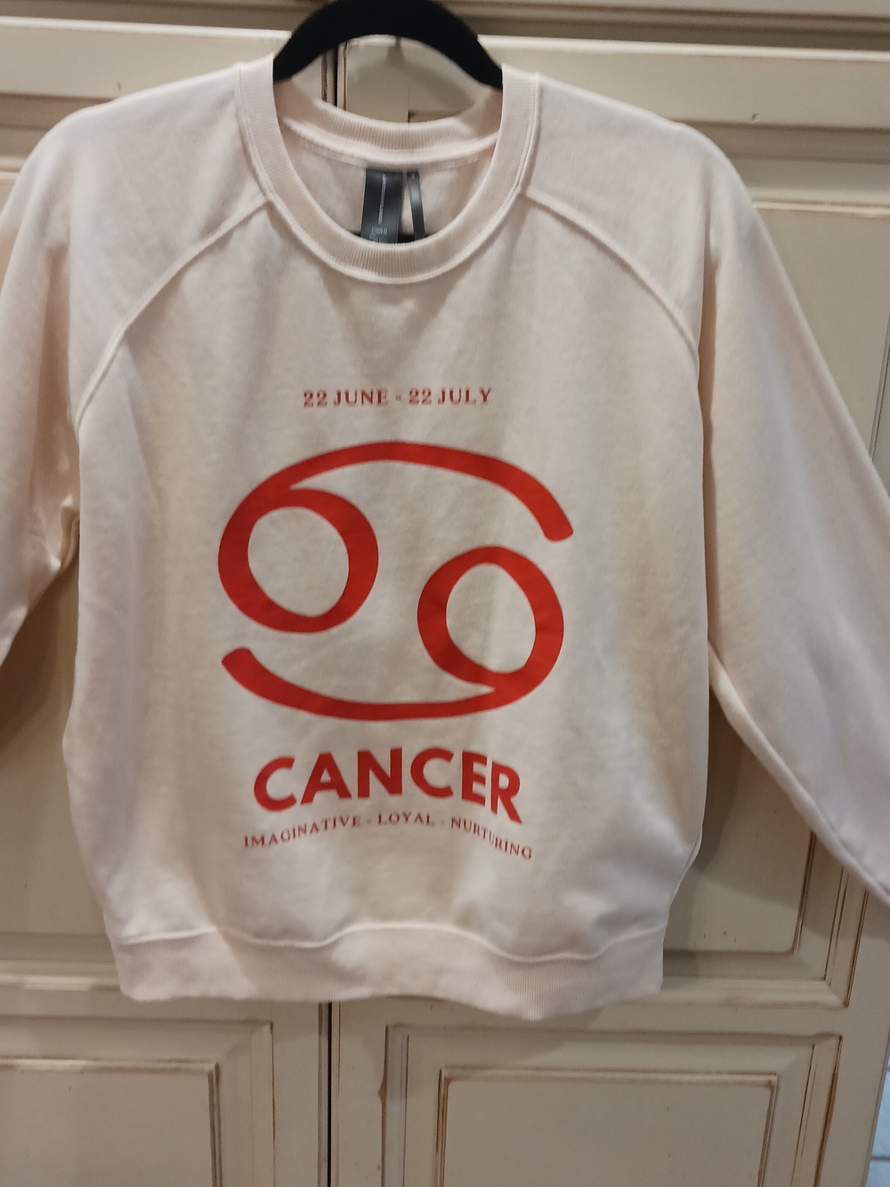 Anthropologie Cream Sweatshirt with Red Cancer Graphic